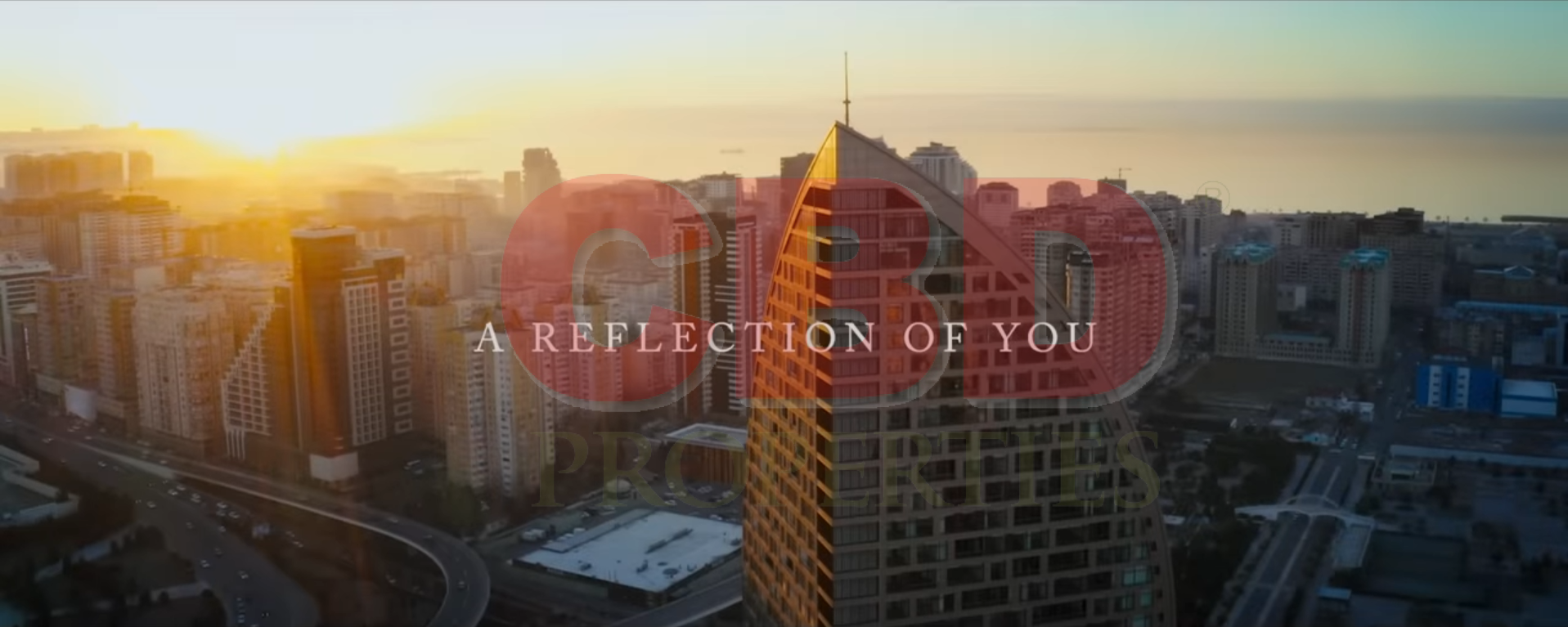 video image
