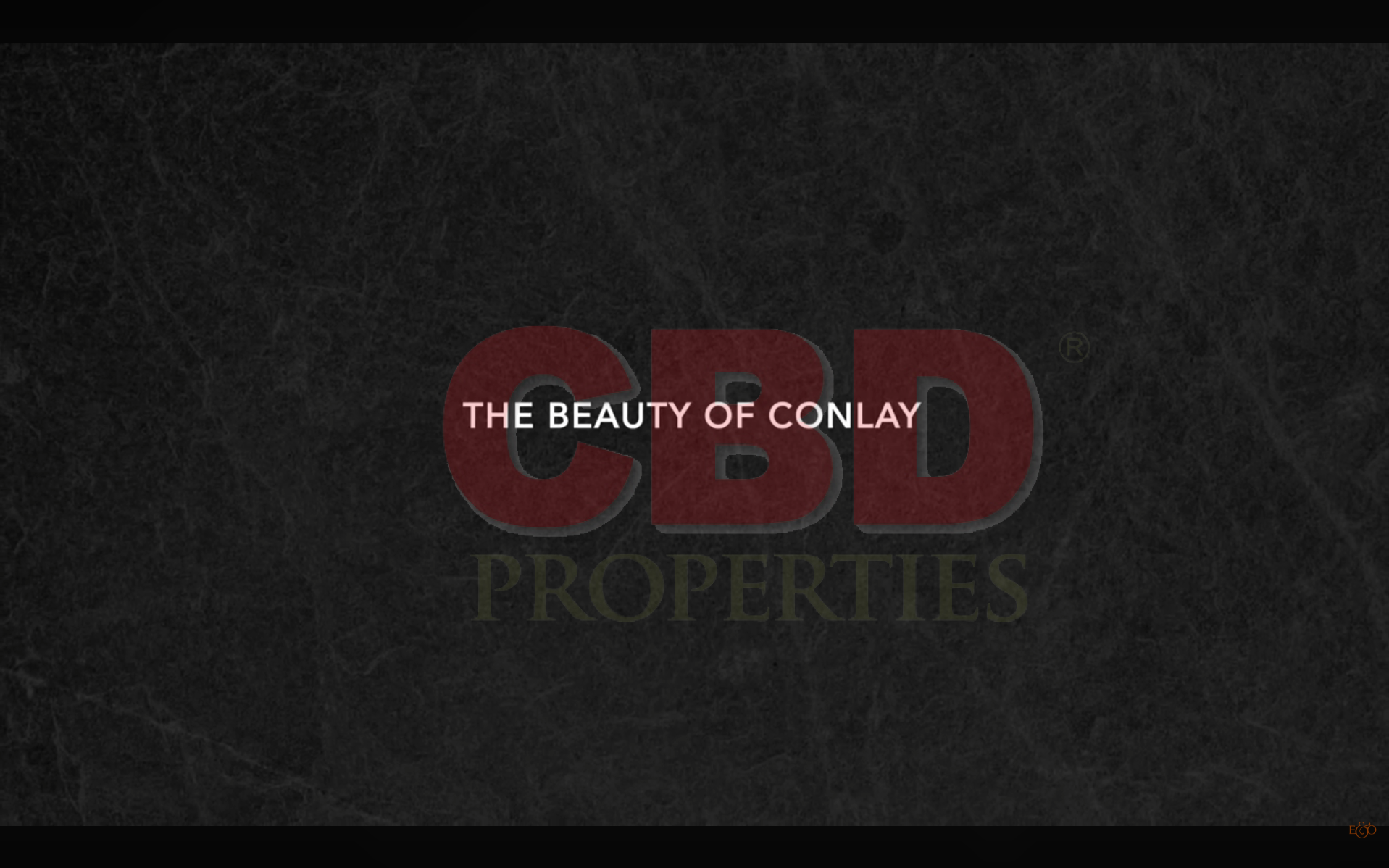 video image