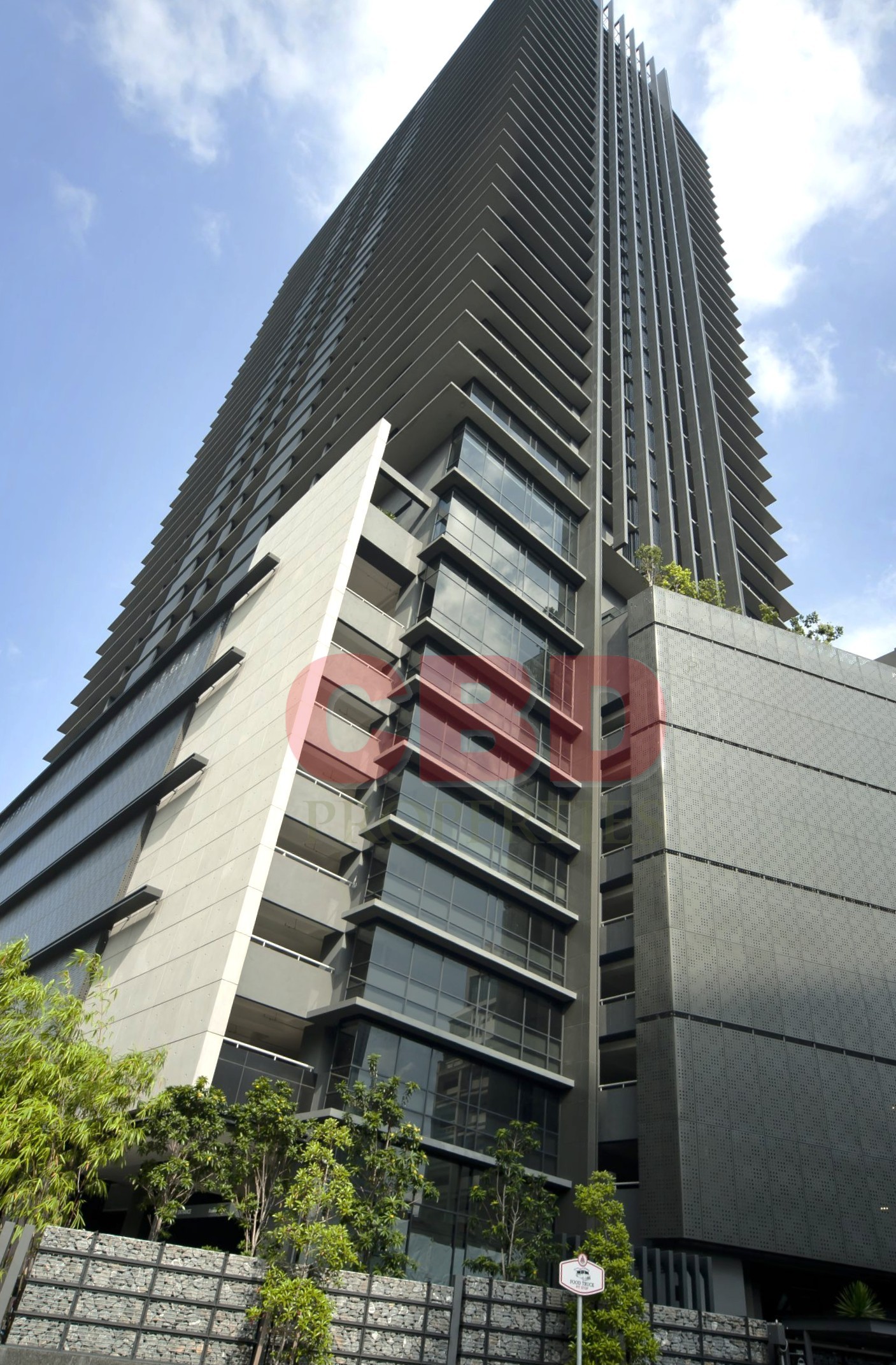 video image